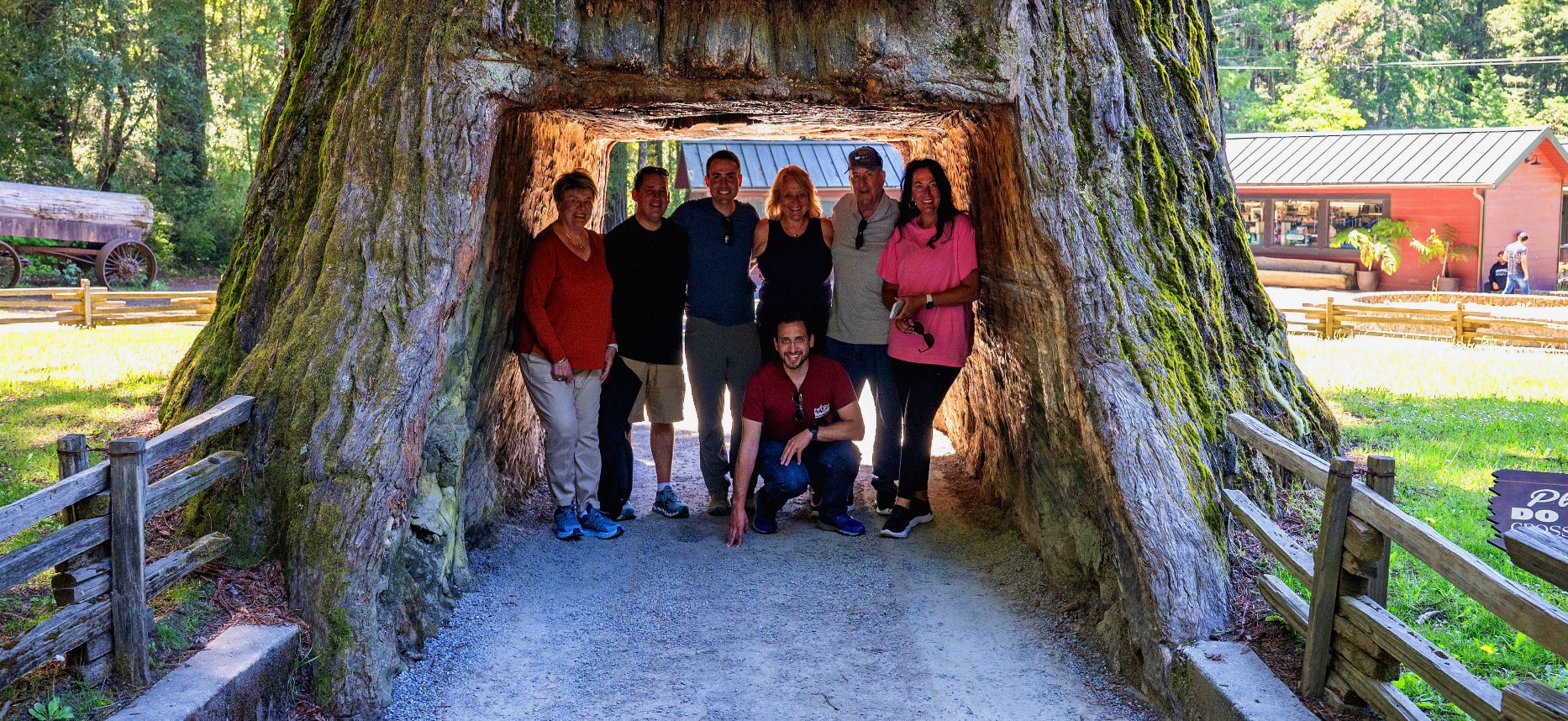 Gaint Redwood National Park Tours