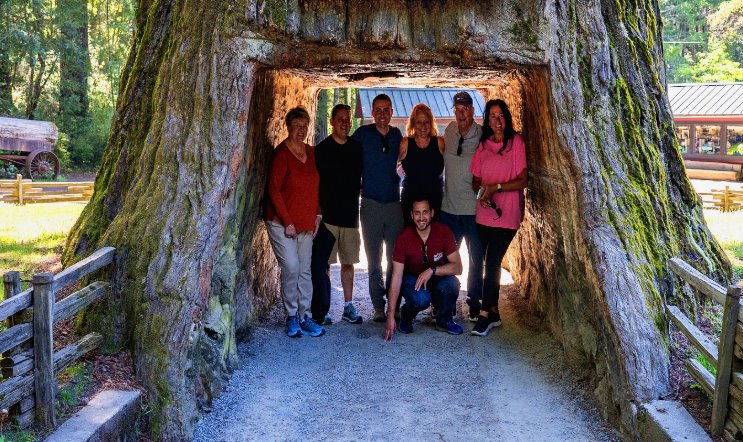 Redwood National Park – The Ultimate Must-See Experience! The Land of Giants