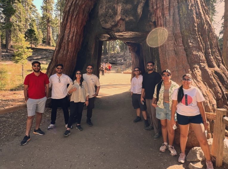 Yosemite Waterfalls, Giant Sequoias &amp; Lodging Nature 2-Day Adventure Experience
