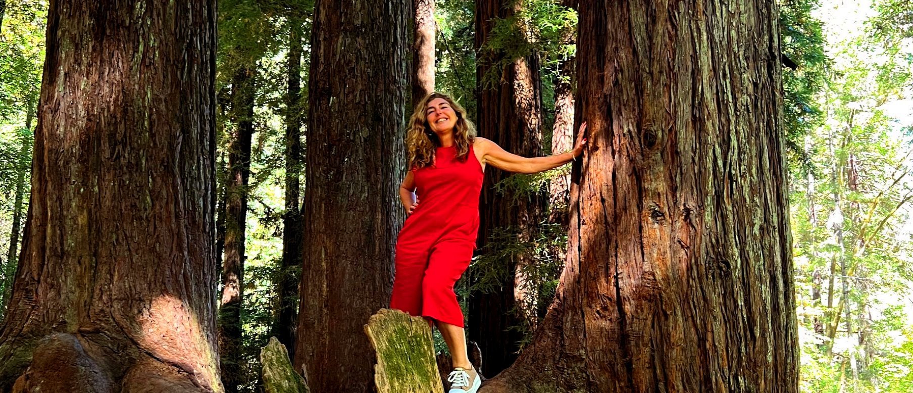 Muir Woods Redwoods Park Tour