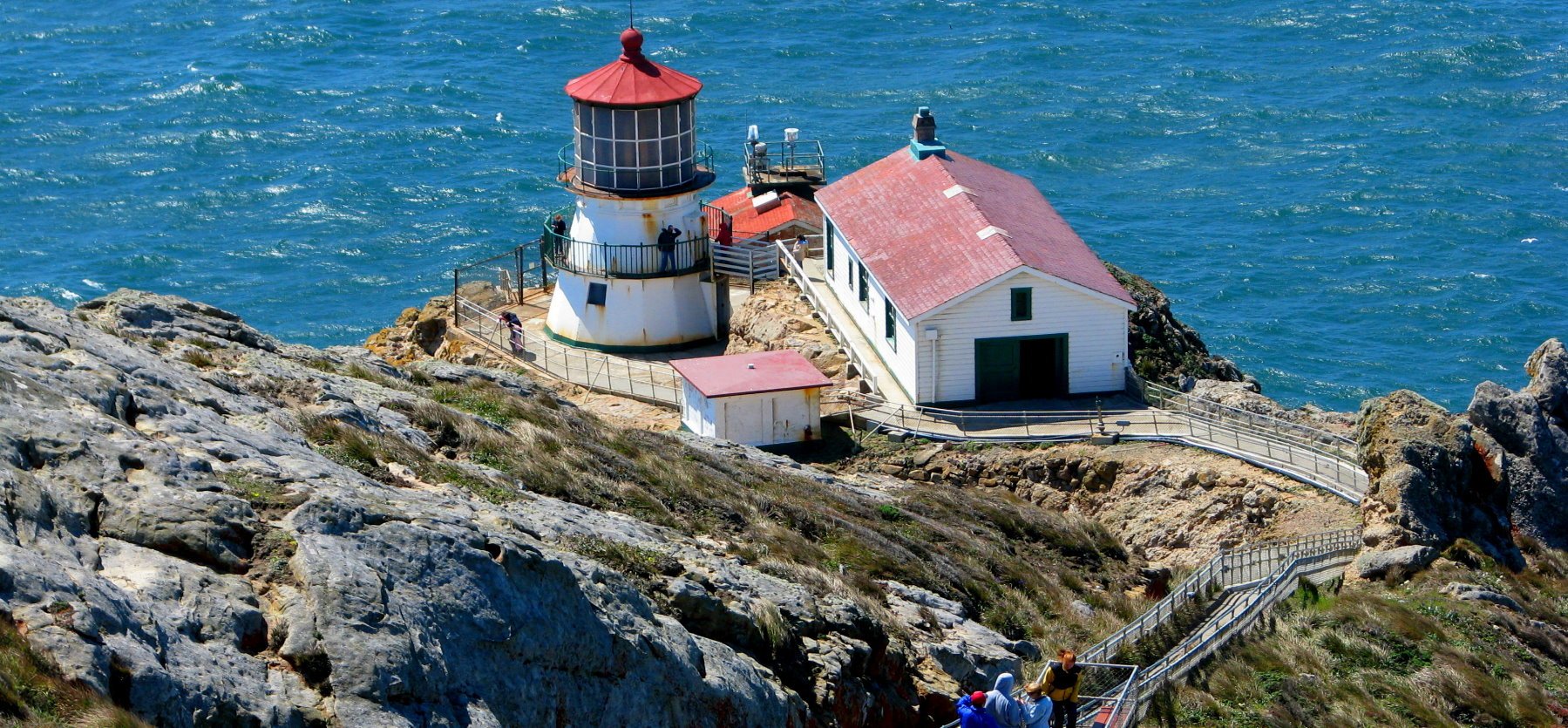 Point Reyes Guided Tours