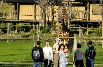 Ultimate 2-Day Private Safari And Alcatraz Adventure
