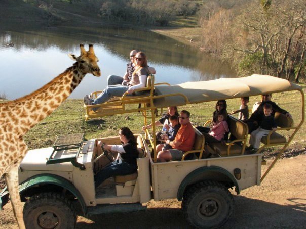 Redwoods &amp; Safari Family Fun